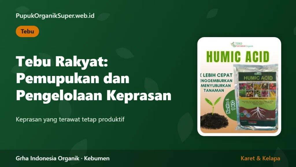Tebu Rakyat: Pemupukan dan Pengelolaan Keprasan