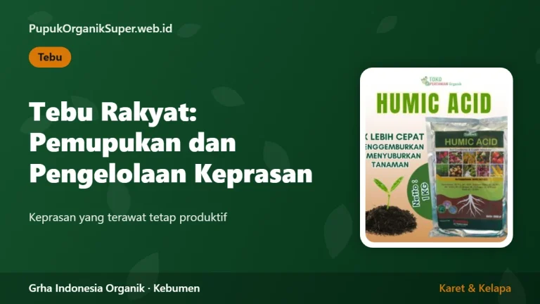 Tebu Rakyat: Pemupukan dan Pengelolaan Keprasan