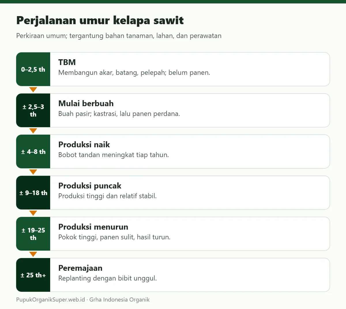 Perjalanan umur kelapa sawit