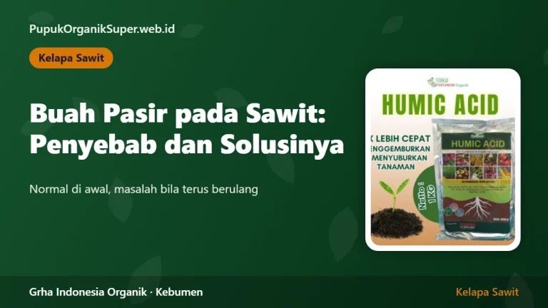 Buah Pasir pada Sawit: Penyebab dan Solusinya