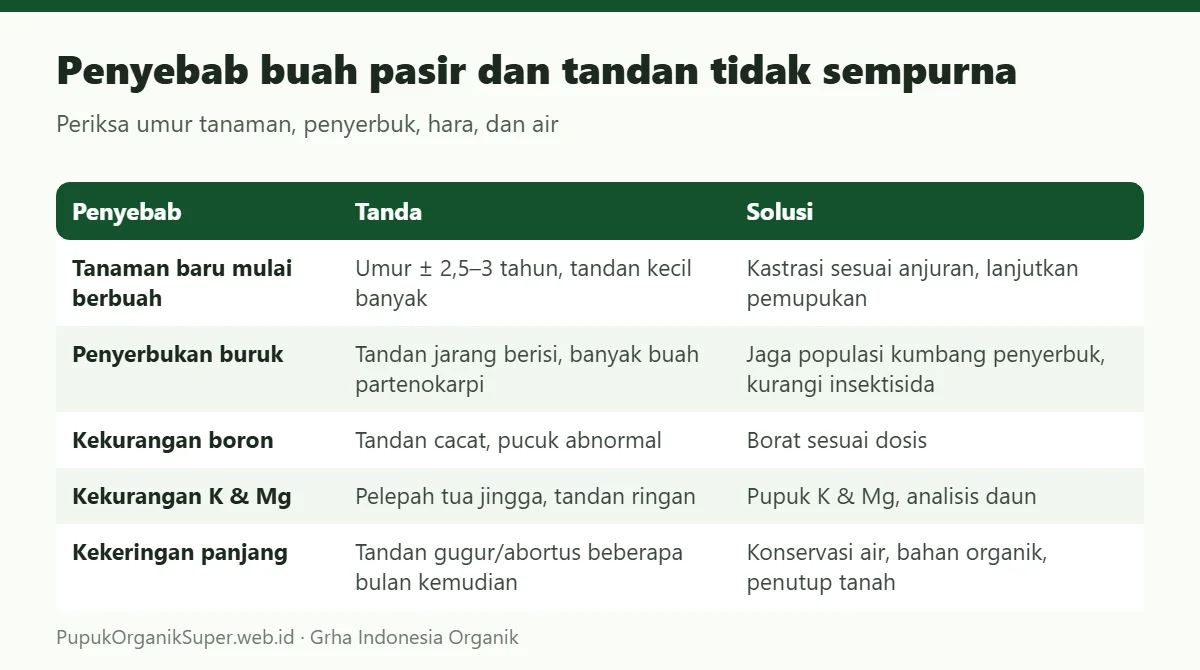 Penyebab buah pasir dan tandan tidak sempurna