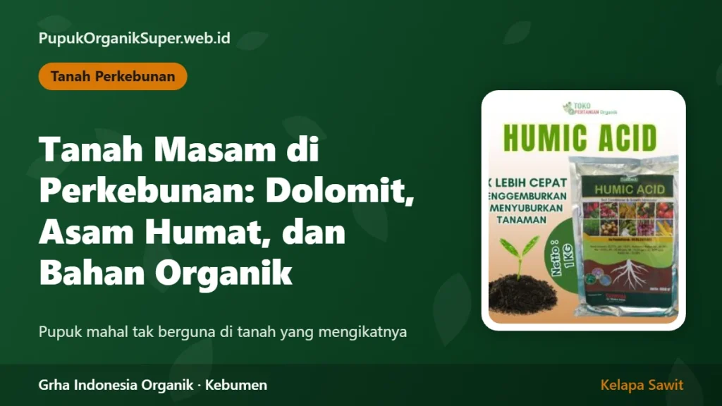 Tanah Masam di Perkebunan: Dolomit, Asam Humat, dan Bahan Organik