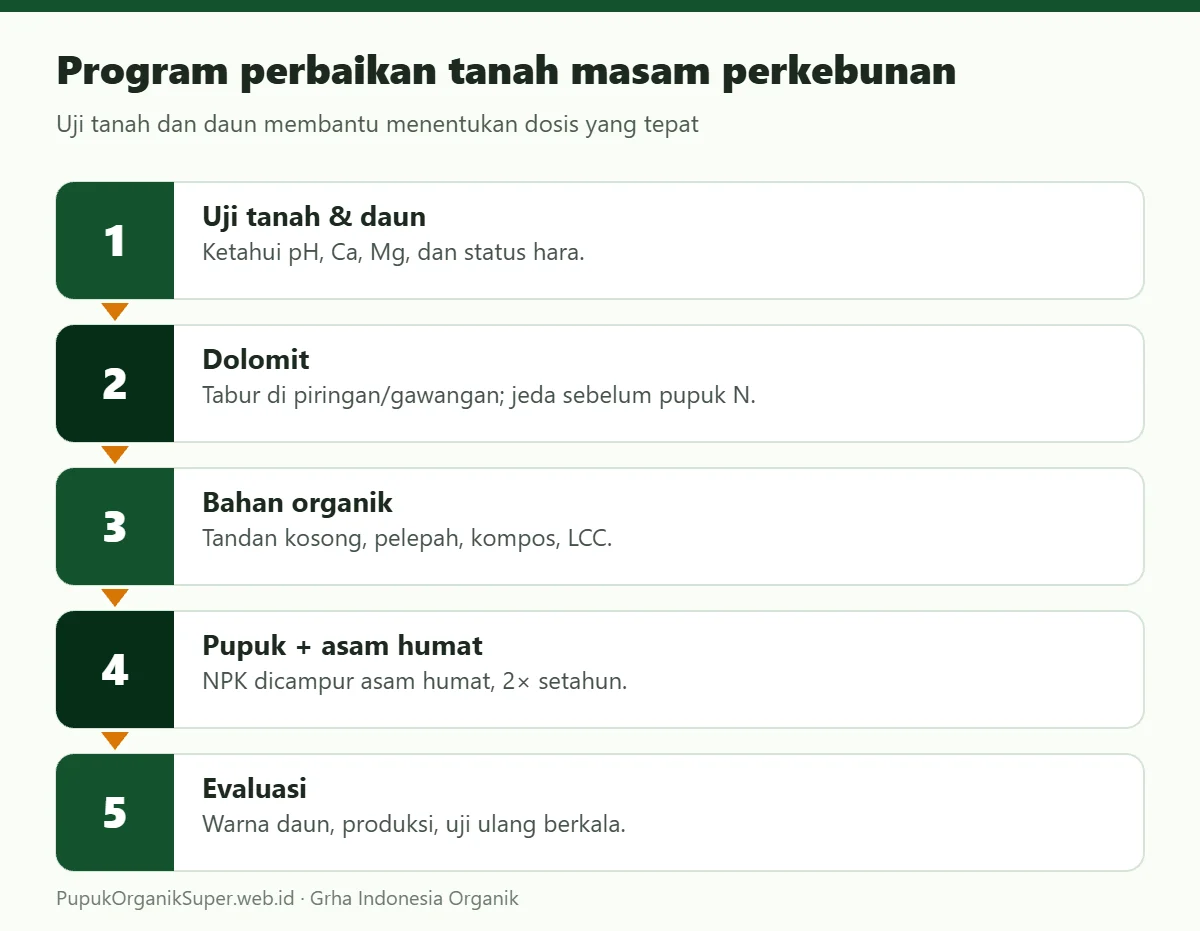 Program perbaikan tanah masam perkebunan