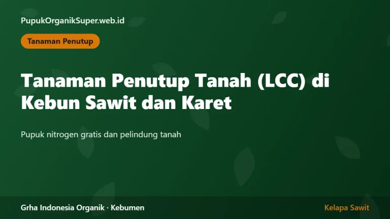 Tanaman Penutup Tanah (LCC) di Kebun Sawit dan Karet